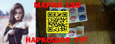 дмт Краснодар