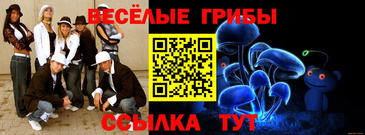 Галлюциногенные грибы Psilocybine cubensis  Псилоцибиновые грибы мухоморы  где можно купить наркотик  Вход с VPN  Гатчина 