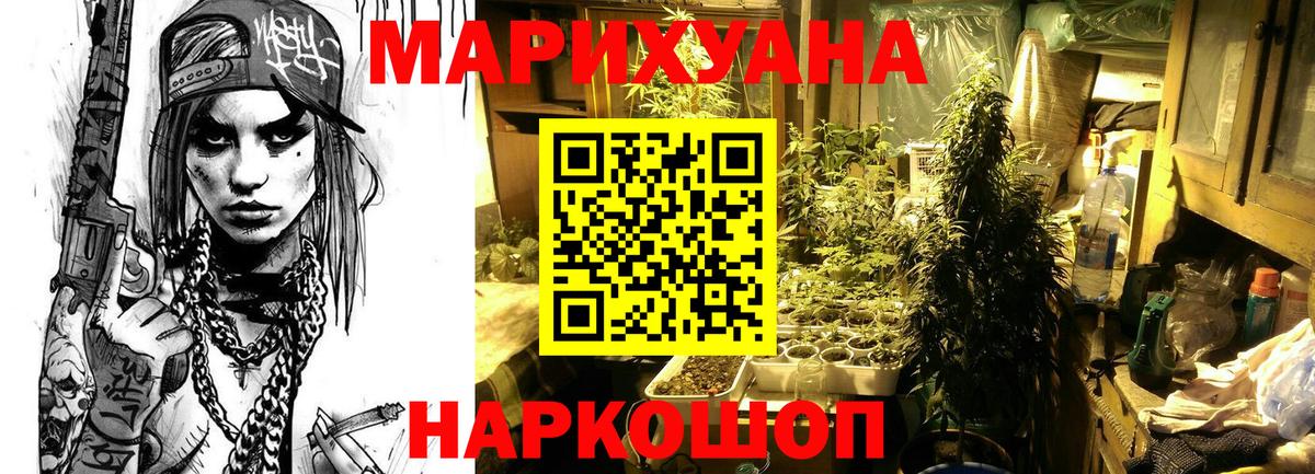 Шишки марихуана планчик Гатчина